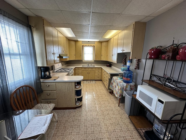 56 40th Ave, Eden Twp, MN 56144 - photo 33