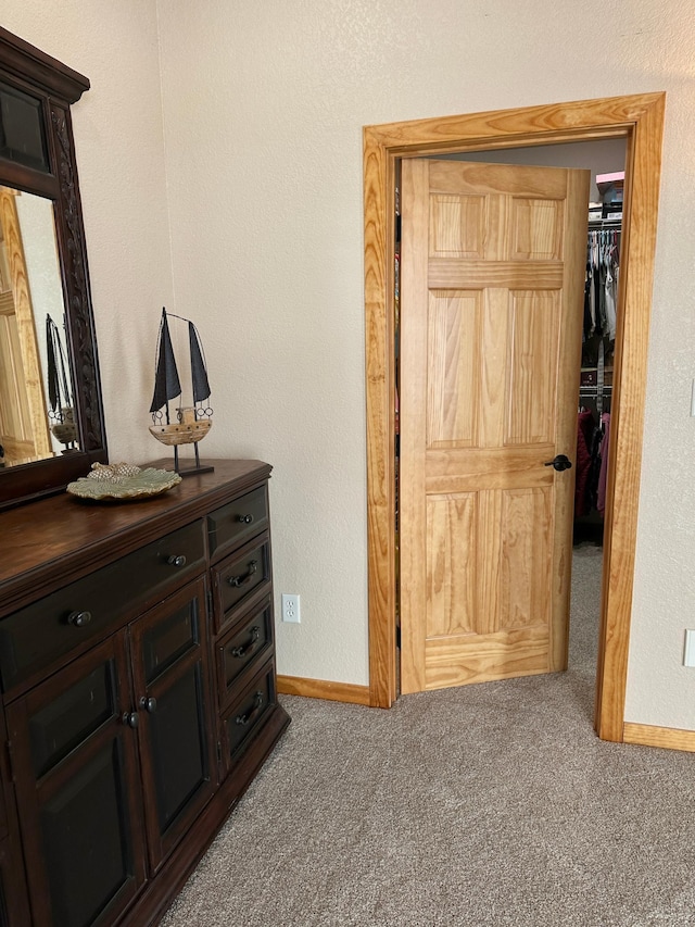 interior space featuring a textured wall, baseboards, and carpet floors