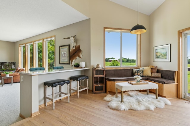 8051 165th St E, Credit River Twp, MN 55372 - living area featuring light wood-style floors and lofted ceiling