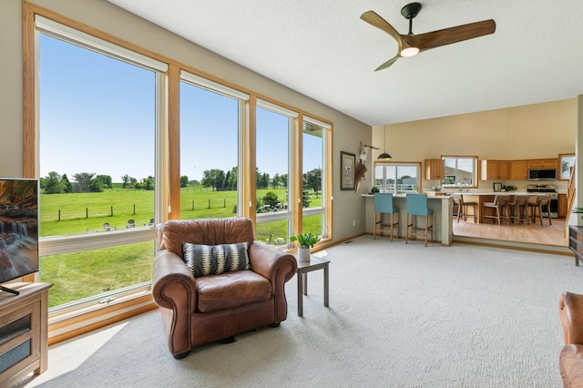 8051 165th St E, Credit River Twp, MN 55372 - sunroom with healthy amount of natural light and vaulted ceiling
