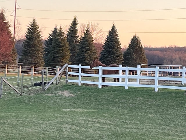 8051 165th St E, Credit River Twp, MN 55372 - view of yard at dusk