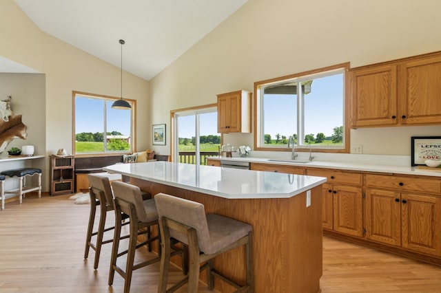 8051 165th St E, Credit River Twp, MN 55372 - kitchen with high vaulted ceiling, light wood-style flooring, a kitchen breakfast bar, healthy amount of natural light, and light countertops
