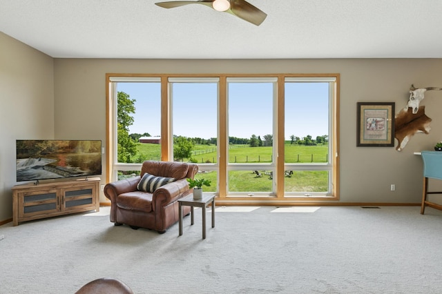 8051 165th St E, Credit River Twp, MN 55372 - living room featuring plenty of natural light, carpet floors, and ceiling fan
