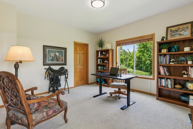 8051 165th St E, Credit River Twp, MN 55372 - office with light carpet and baseboards