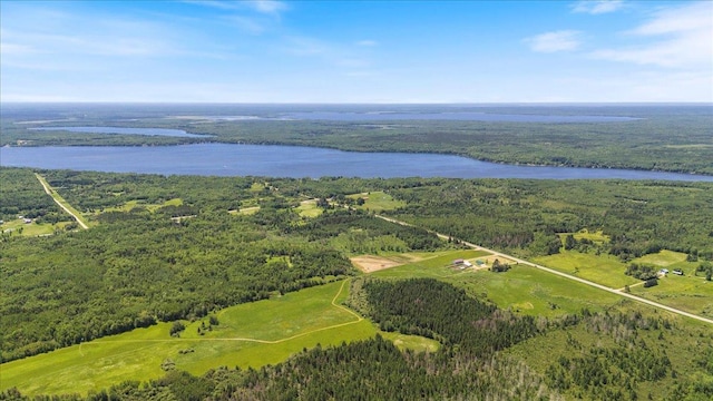 birds eye view of property with a forest view and a water view