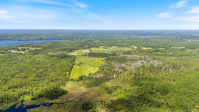 birds eye view of property featuring a view of trees and a water view