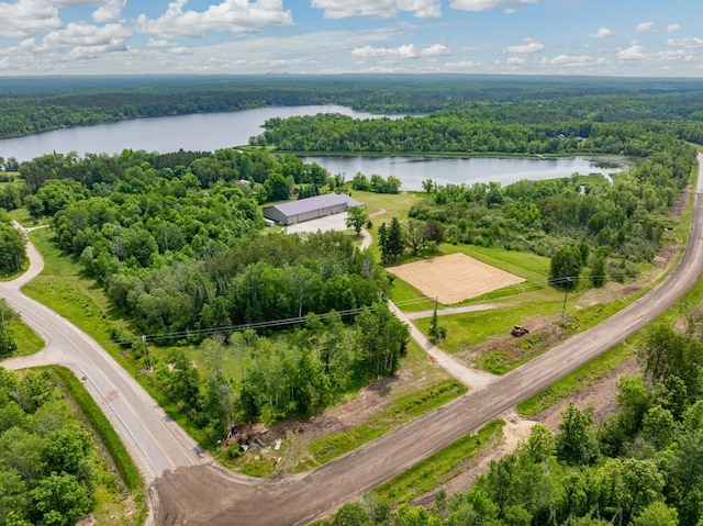 37202 Scenic Hwy, Bovey, MN 55709 - photo 47
