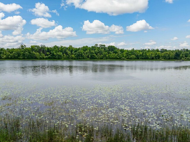37202 Scenic Hwy, Bovey, MN 55709 - photo 55