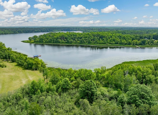 37202 Scenic Hwy, Bovey, MN 55709 - photo 60