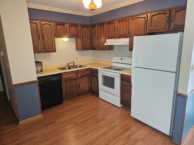 kitchen featuring white appliances, light hardwood / wood-style floors, sink, and a textured ceiling