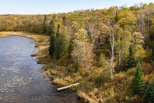 TRACTE Brietbach Rd, Park Rapids, MN 56470