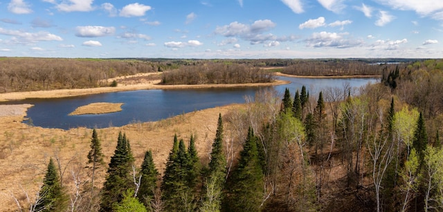 TRACTE Brietbach Rd, Park Rapids, MN 56470