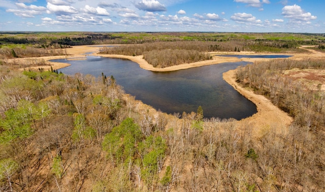 TRACTE Brietbach Rd, Park Rapids, MN 56470