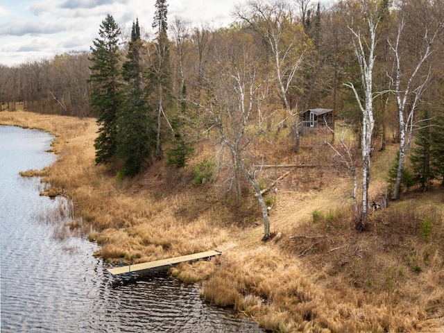 TRACTE Brietbach Rd, Park Rapids, MN 56470
