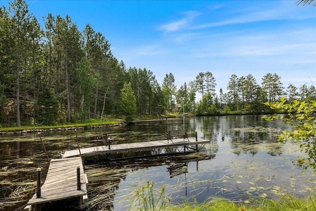 dock area with a water view