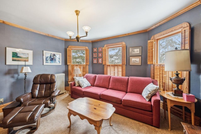 carpeted living room with an inviting chandelier, ornamental molding, and radiator