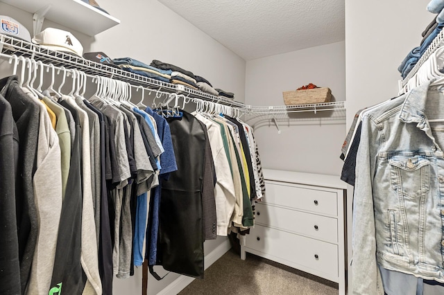 spacious closet featuring carpet floors