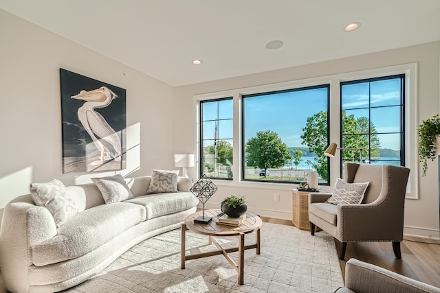 living room with plenty of natural light and light hardwood / wood-style floors