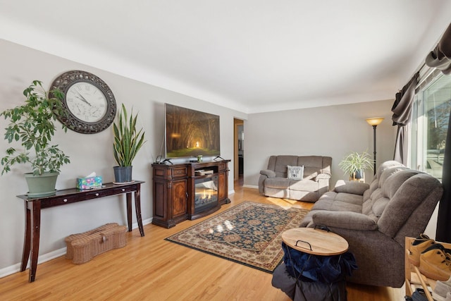 living room with a multi sided fireplace and light hardwood / wood-style flooring