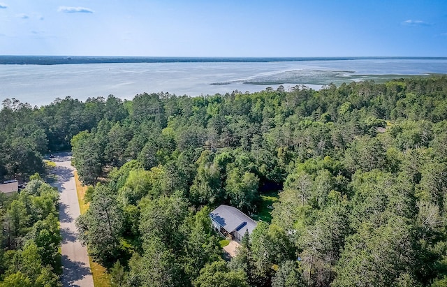 birds eye view of property featuring a water view and a view of trees