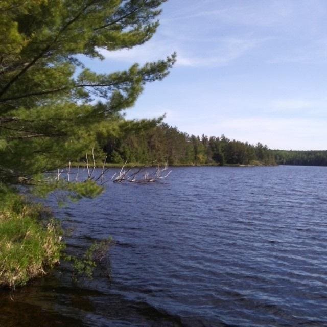 TBD Ban Lake Spur, Orr MN, 55771 land for sale