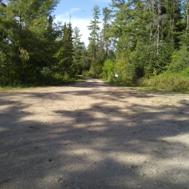 Listing photo 3 for TBD Ban Lake Spur, Orr MN 55771