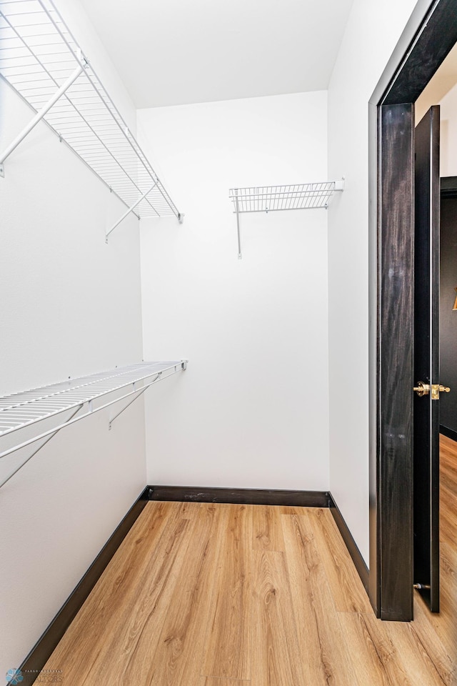 spacious closet with light hardwood / wood-style flooring