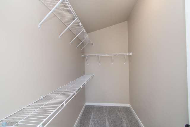 spacious closet featuring carpet floors