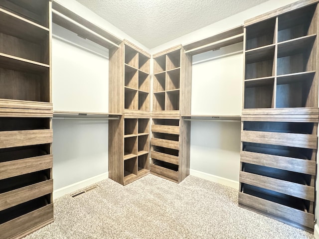 walk in closet featuring carpet