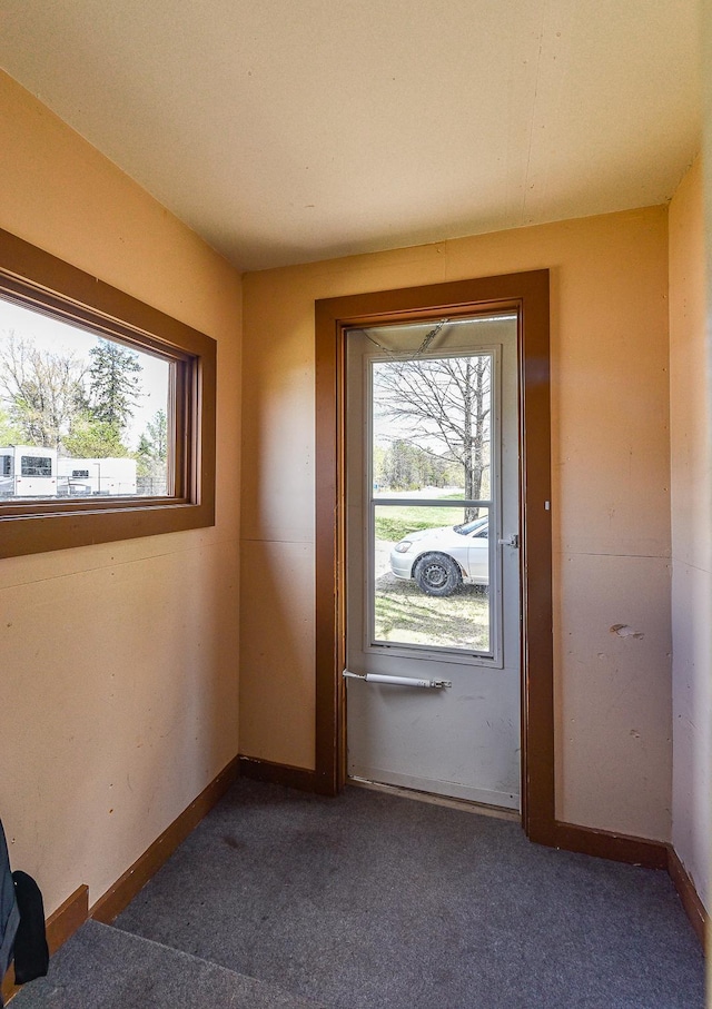 doorway featuring a wealth of natural light and dark carpet