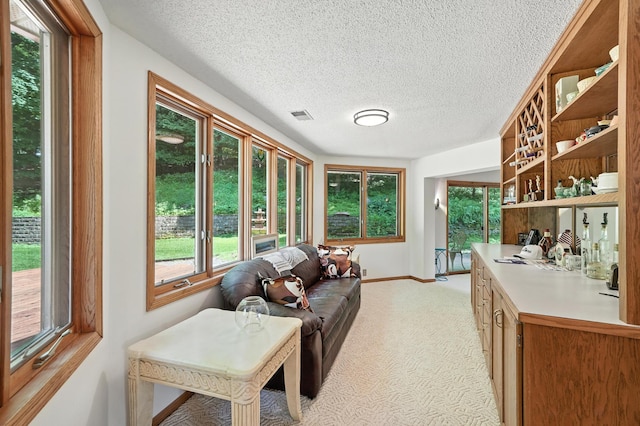 1000 Heritage Ln, Orono, MN 55391 - photo 20