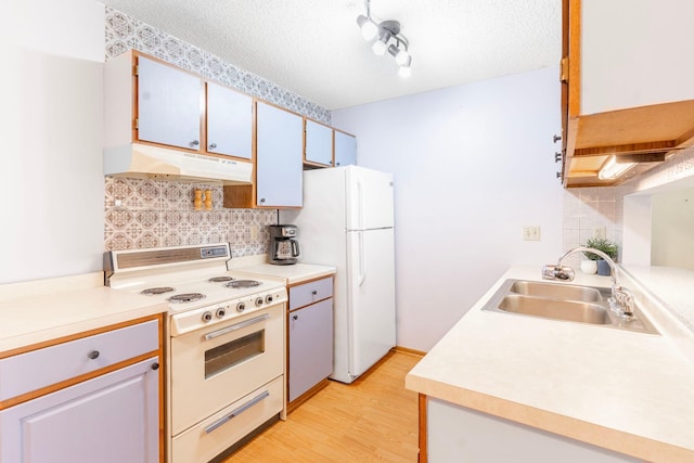 kitchen with light wood-type flooring, under cabinet range hood, a sink, tasteful backsplash, and white appliances