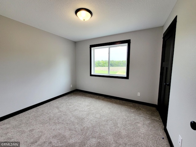 spare room with carpet and a textured ceiling