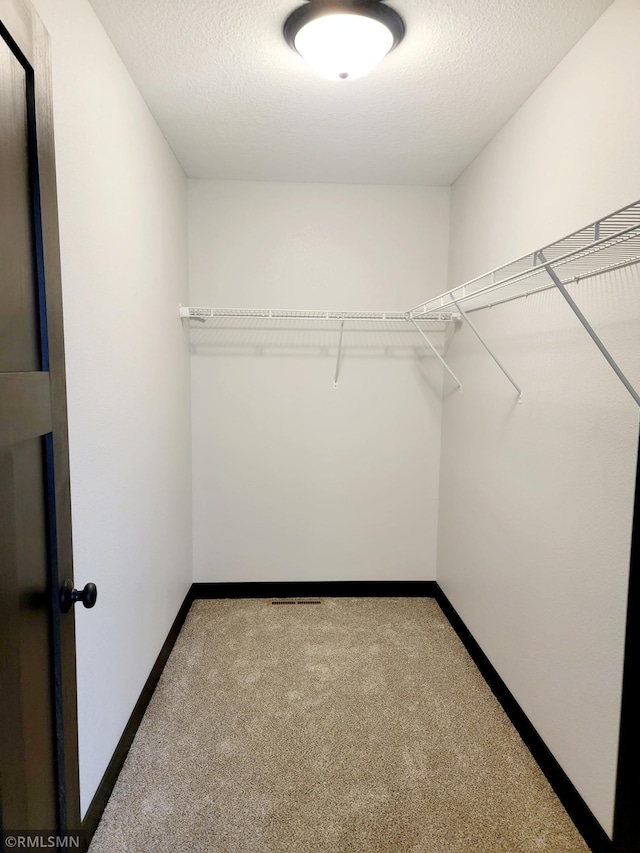 walk in closet with carpet flooring