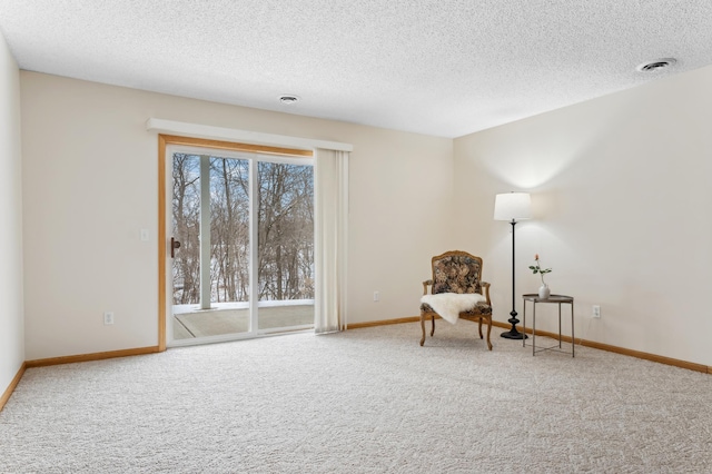 11767 36th Cir NE, Saint Michael, MN 55376 - sitting room with carpet floors, baseboards, and a textured ceiling
