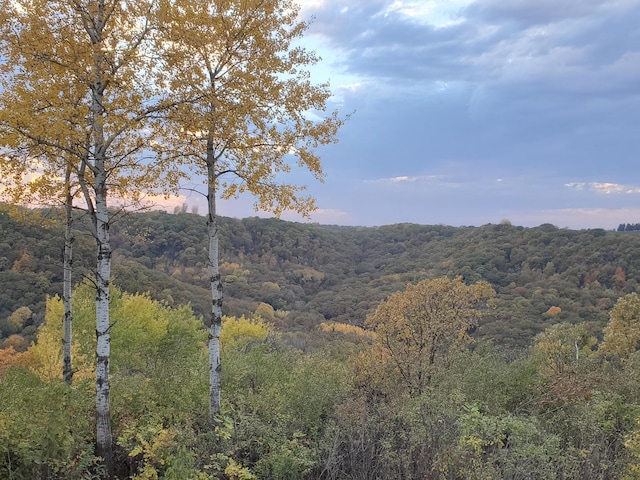 mountain view featuring a forest view