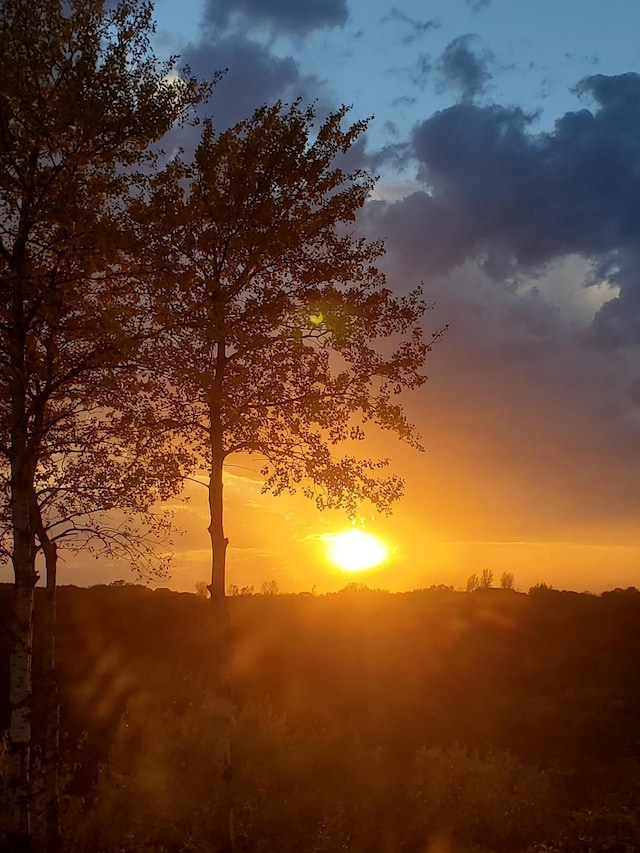 view of nature