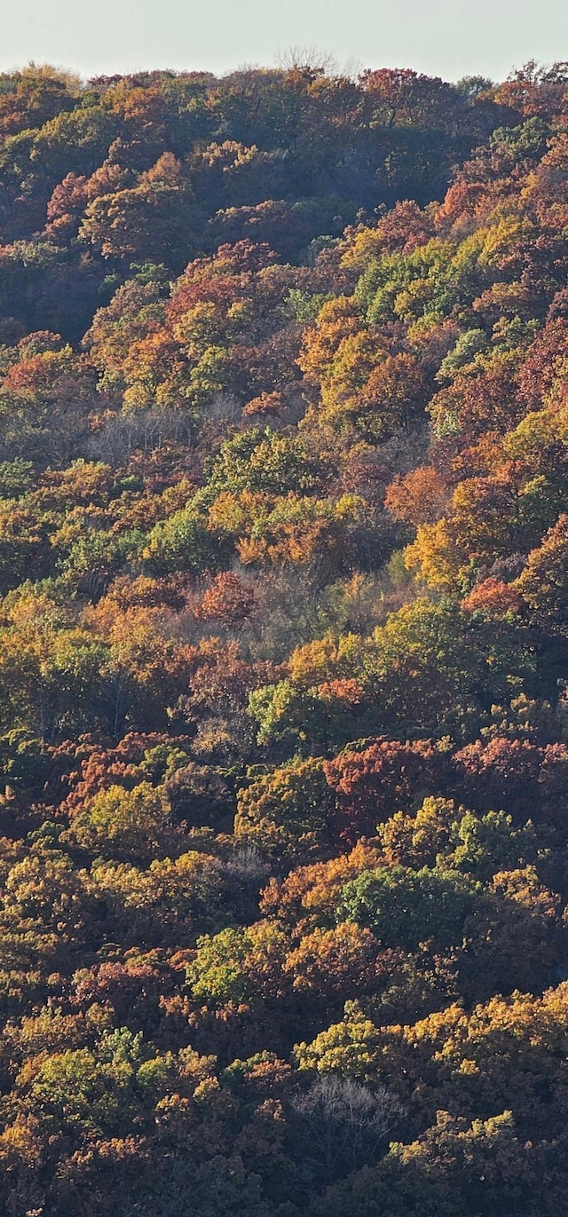 view of mountain feature