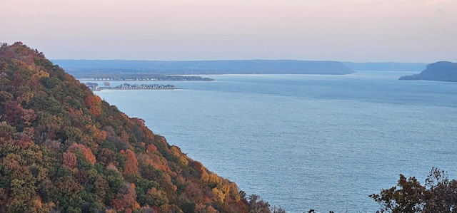 property view of water featuring a view of trees