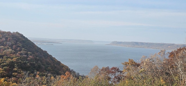 water view featuring a mountain view and a wooded view