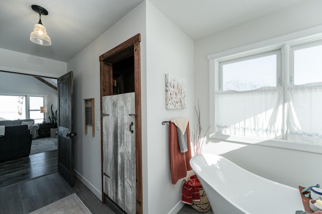bathroom featuring baseboards, a freestanding bath, a healthy amount of sunlight, and wood finished floors