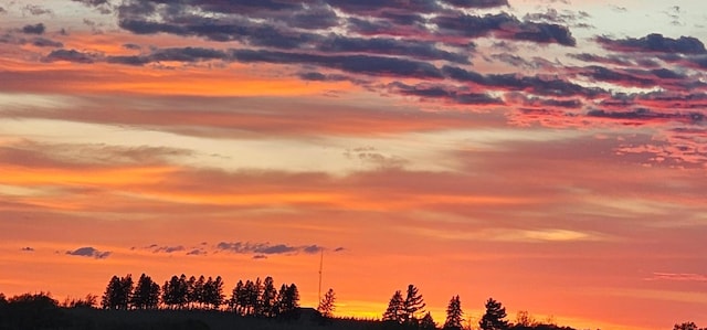 view of nature at dusk