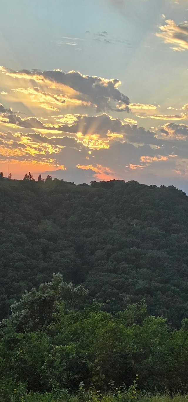 mountain view featuring a view of trees