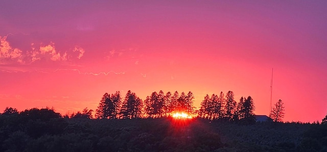 view of nature