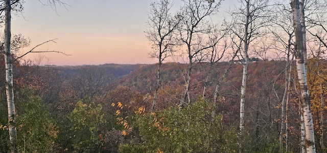 view of mountain feature featuring a forest view