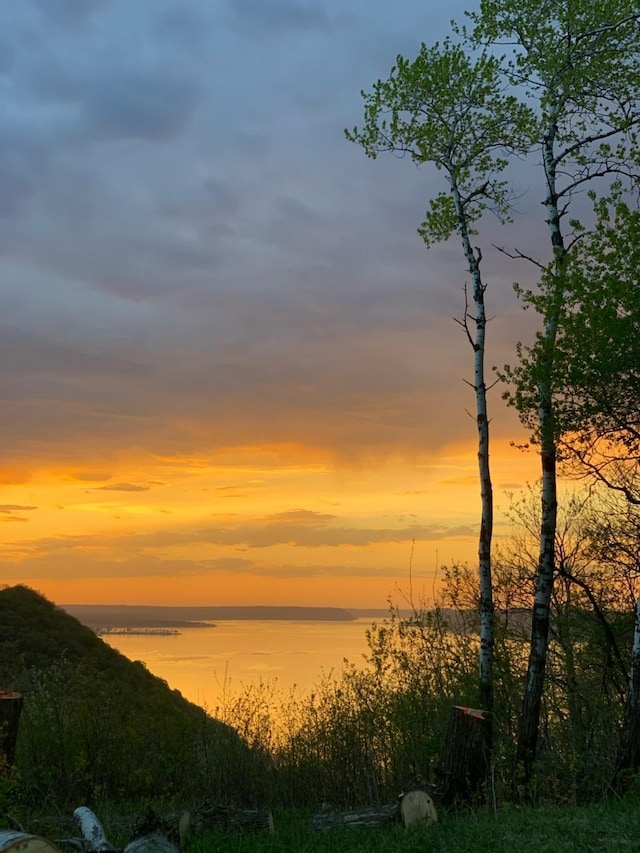 property view of water