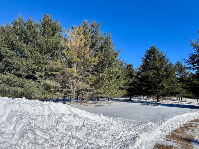 view of yard layered in snow