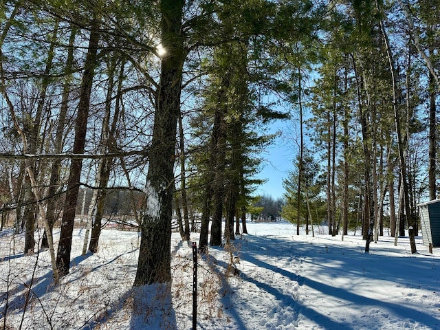 view of snowy yard