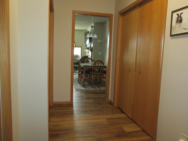 1902 Tiffany Cove Ln SW, Rochester, MN 55902 - hallway featuring wood finished floors