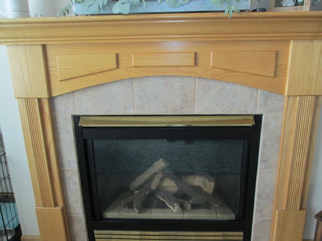 1902 Tiffany Cove Ln SW, Rochester, MN 55902 - detailed view of a tile fireplace